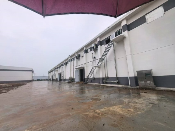 新鼎自动化智慧粮库建设全过程跟踪